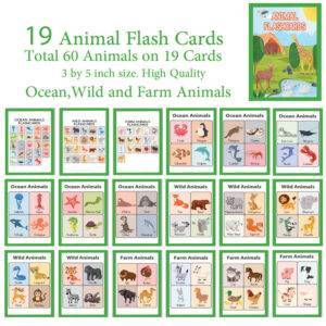 20 Animal Flash Cards