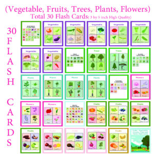 30 vegetable,Fruit, Trees Flash Cards
